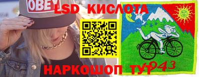 крисы Абинск