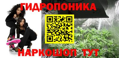 крисы Абинск