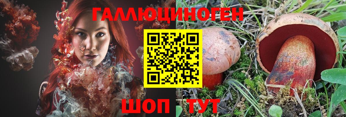 Анапа  Псилоцибиновые грибы мухоморы  Галлюциногенные грибы мицелий  Вход с VPN 