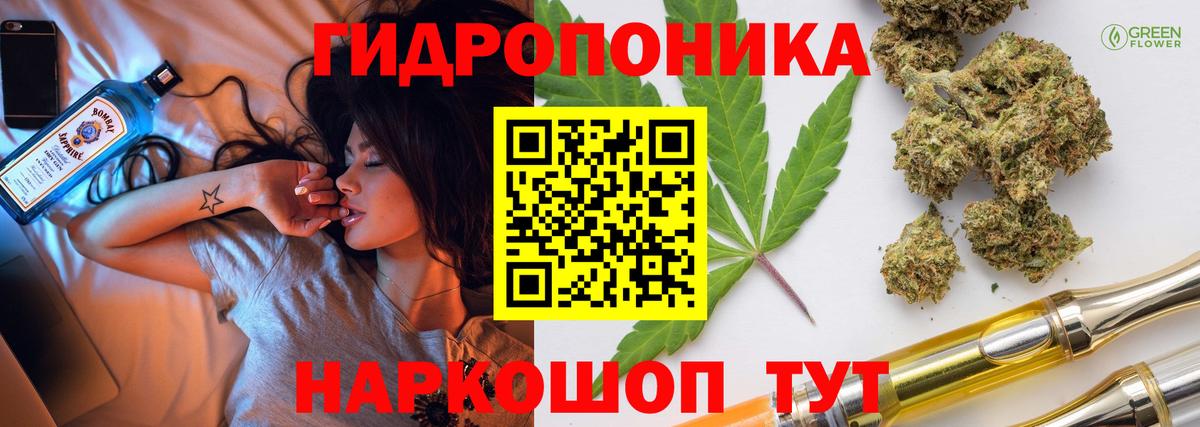 Шишки марихуана конопля Анапа